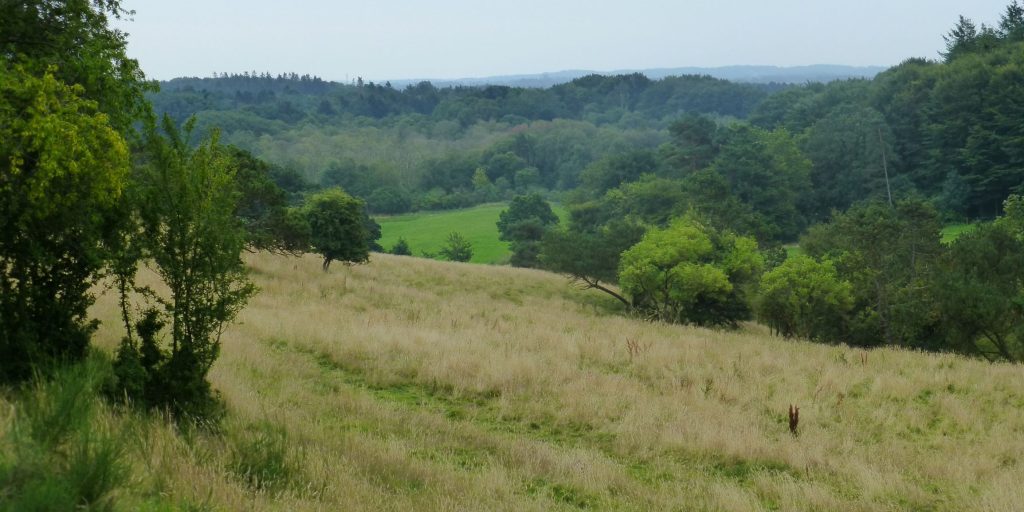 Hammer_Bakker_wiki-mini